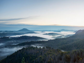 Beautiful sunny morning panorama of forest covered by misty clouds. autumn fog on the mountain hills