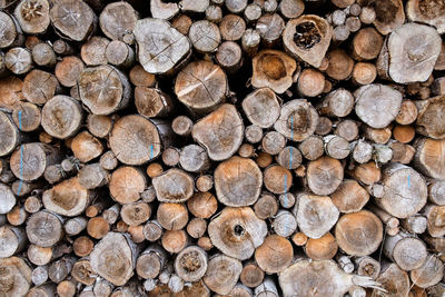 Full frame shot of logs in forest