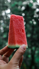Close-up of hand holding ice cream cone . watermelon