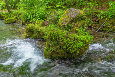 Stream flowing through rocks