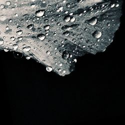 Close-up of water drops on glass