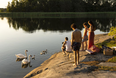 Family looking at swan family swimming in lake during sunset