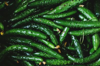 Full frame shot of green chili peppers