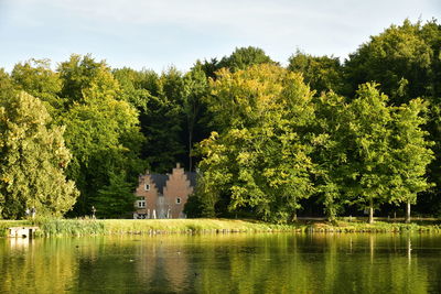 Scenic view of lake by trees against sky