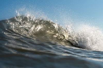 wave