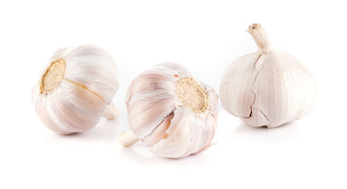 Close-up of garlic bulbs against white background