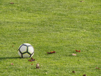 High angle view of soccer field