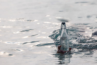 Cropped hand of person holding bottle in water