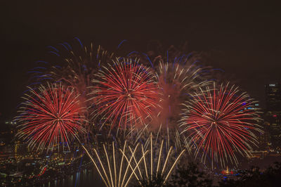 Low angle view of firework display at night