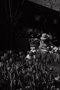 View of flowering plants in yard against building