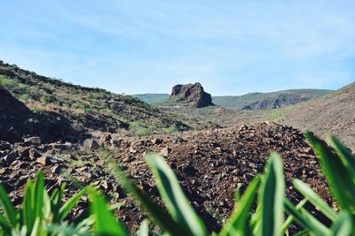 Surface level of land against sky