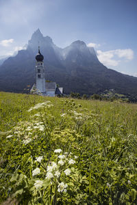 Plants growing on field by mountain against sky