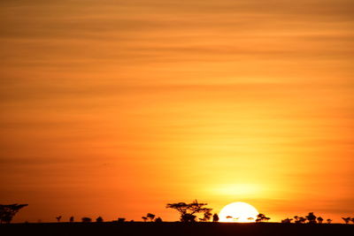 Silhouette of trees against sunset sky