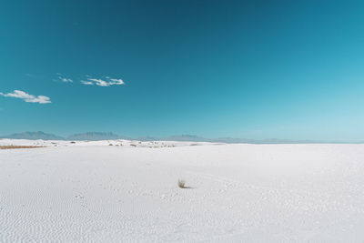 Scenic view of beach against blue sky