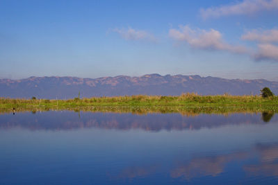 reflection