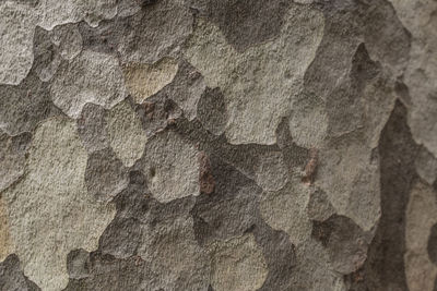 Full frame shot of rock on wall