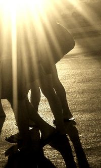 Low section of people on sunny day