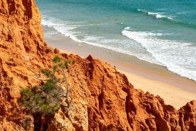 Scenic view of beach