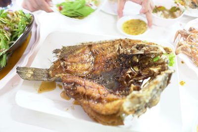 High angle view of meal served on table