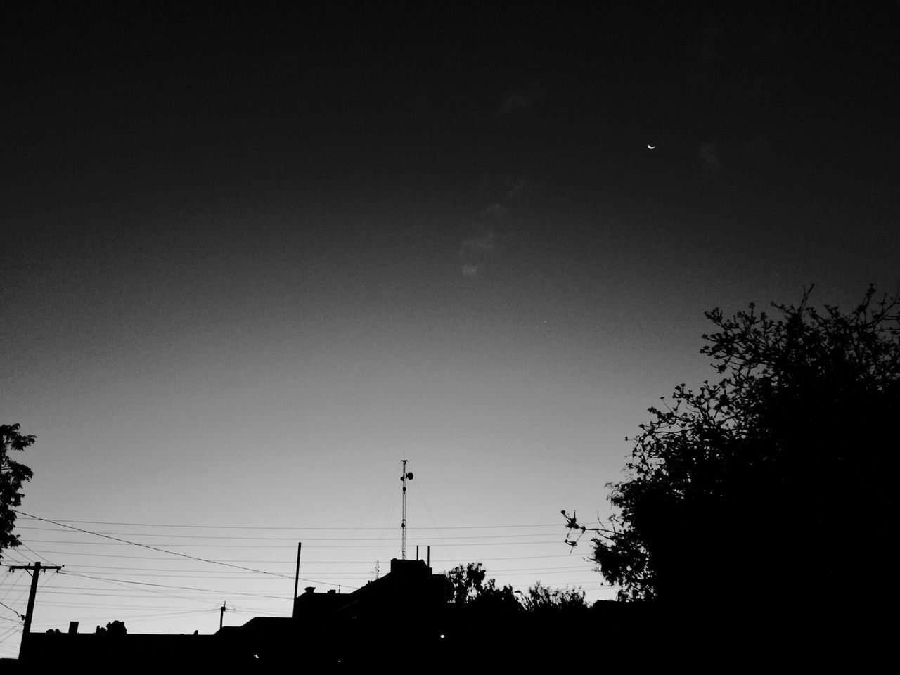 silhouette, low angle view, tree, built structure, building exterior, architecture, clear sky, copy space, sky, dusk, street light, sunset, high section, outdoors, dark, nature, outline, power line, no people, blue