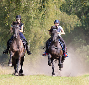 Man riding horses on grassy field