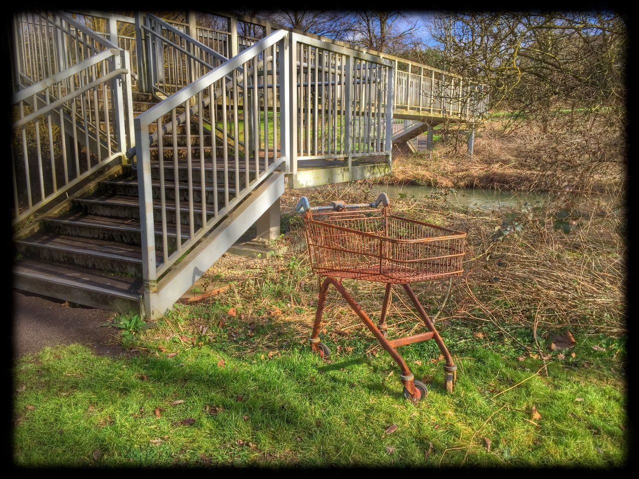 Chelmer Valley Local Nature Reserve