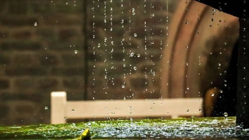 Raindrops on glass window