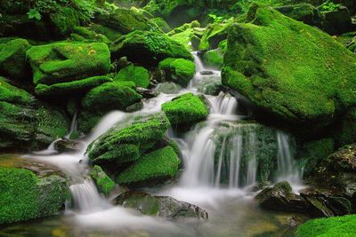 River flowing through rocks