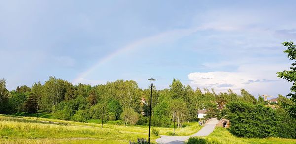 Scenic view of rainbow over trees against sky