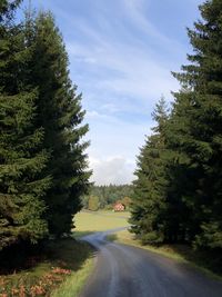 Road amidst trees against sky