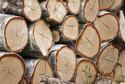 Full frame shot of logs