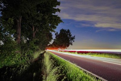 Road by trees against sky in city