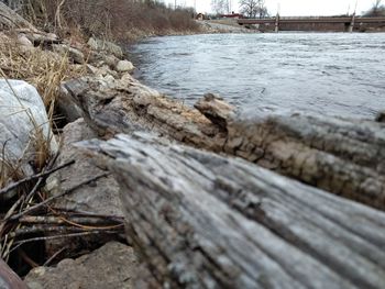 Close-up of wood by river