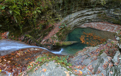 High angle view of stream amidst trees