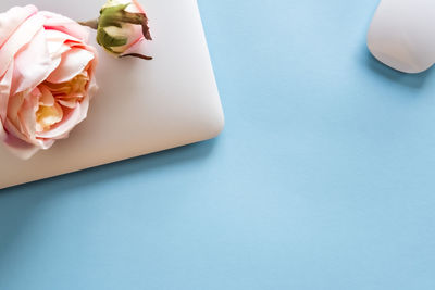 'silver laptop and artificial roses on pastel blue background. mockup. office concept. '