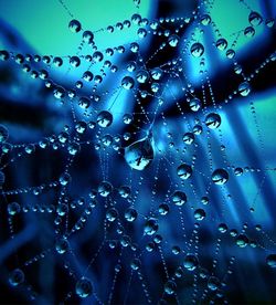 Close-up of water drops on spider web