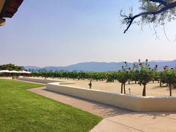 Scenic view of grassy landscape against clear sky