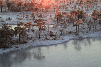 Digital composite image of trees by building during winter