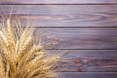 Ears of wheat on old wooden table.