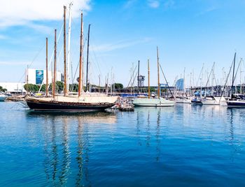 Sailboats moored in harbor