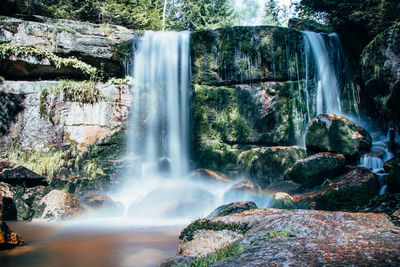 Scenic view of waterfall in forest