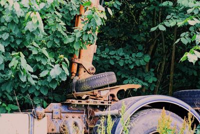 Old rusty wheel by plants