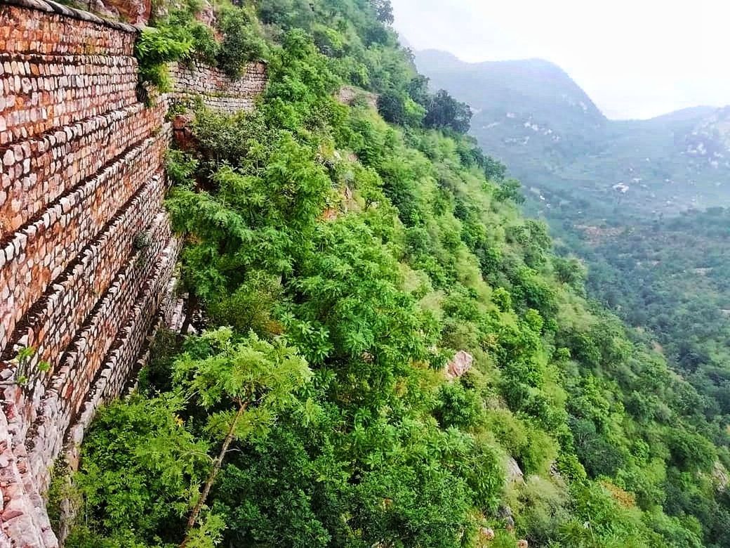 tree, plant, growth, green color, mountain, beauty in nature, scenics - nature, nature, tranquility, day, no people, tranquil scene, high angle view, architecture, built structure, outdoors, non-urban scene, land, forest, lush foliage