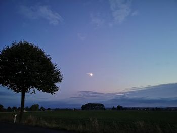 Trees on field against sky