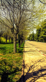 Road amidst trees on landscape against sky