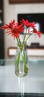 Close-up of red flower vase on table