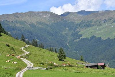 Scenic view of landscape and mountains against sky