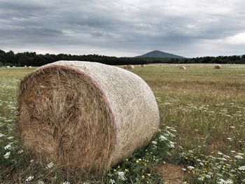 Hay bales on field against sky