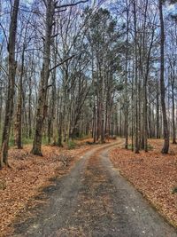 Road amidst trees in forest against sky