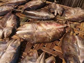 Close-up of fish for sale